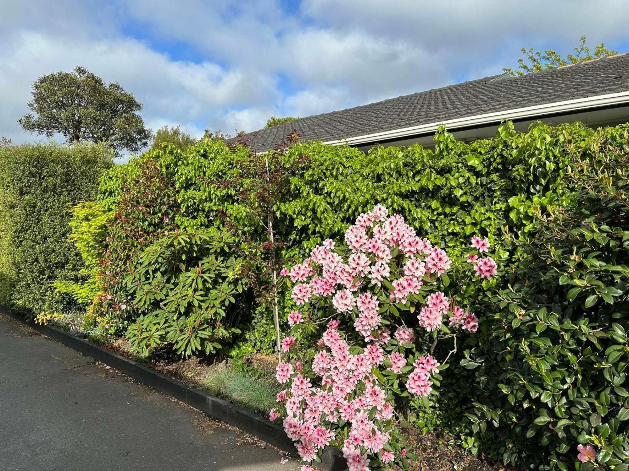 The Airport Homestay House Christchurch Exterior foto